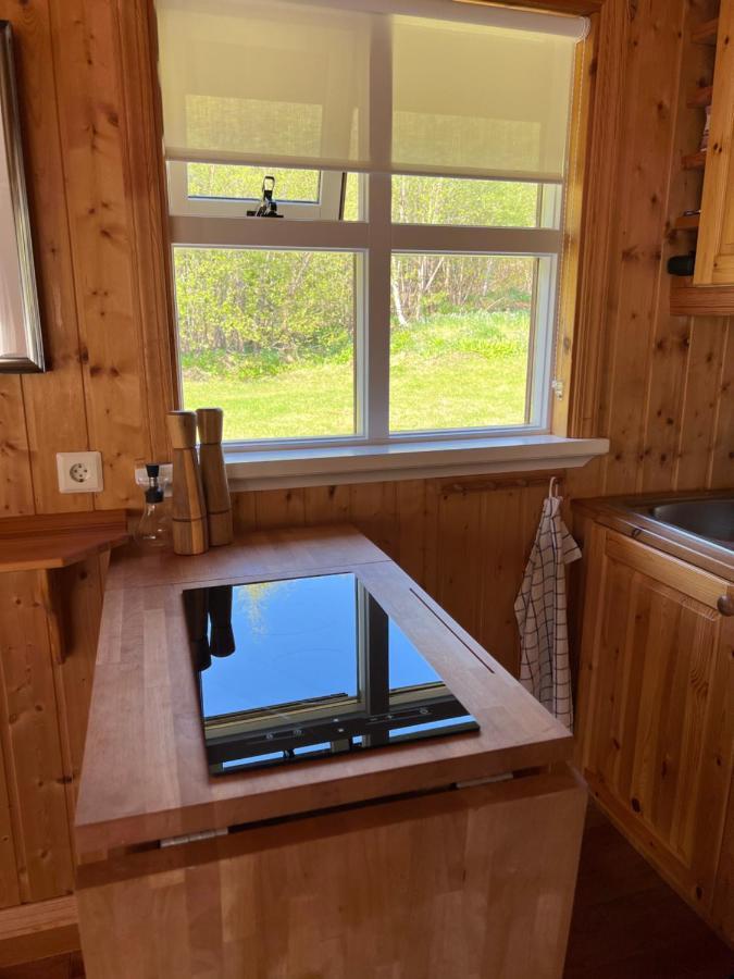 Summerhouse Vaglaskogur Akureyri Buitenkant foto