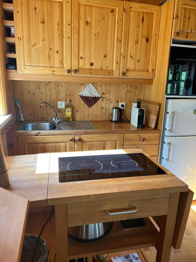 Summerhouse Vaglaskogur Akureyri Buitenkant foto