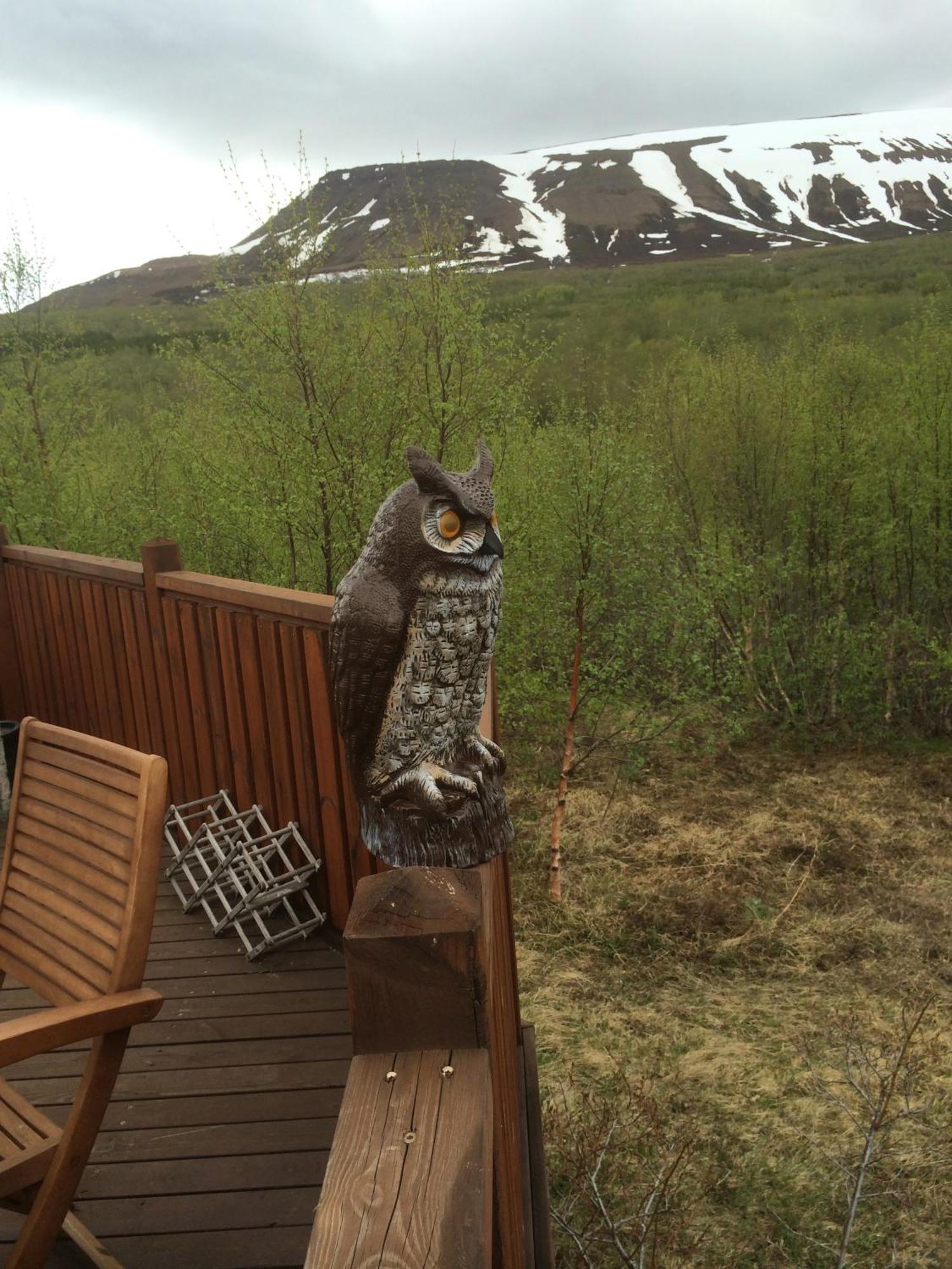 Summerhouse Vaglaskogur Akureyri Buitenkant foto